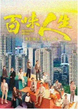 乘风破浪正片合集完整版封面